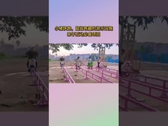 Scenic Area Niet-aangedreven amusementsapparatuur, Internet Celebrity Little Pig Run Amusement Park Childr