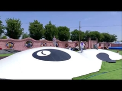 Panda Jumping Cloud opblaasbare trampoline voor binnen speeltuinen