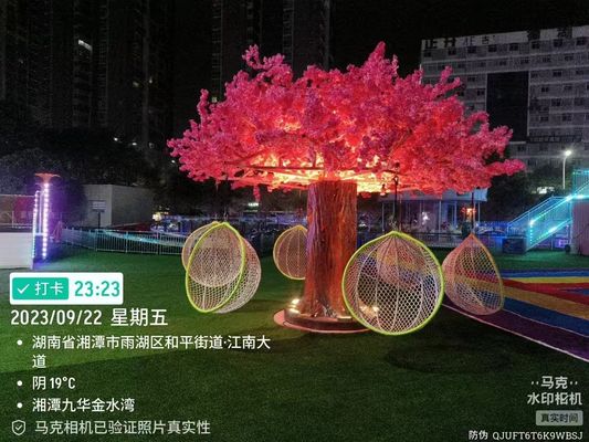 Interactieve Blossom Boom Schommel Speeltoestel voor Peuters